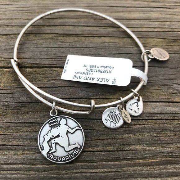 Alex and Ani Jewelry - Alex and Ani Bracelet Silver Tone Zodiac AQUARIUS